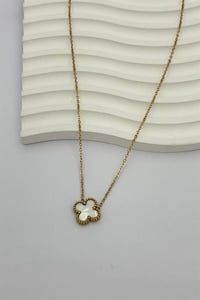 Cleef White Kolye