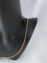 İnce Burgu Vip Seri Zincir Kolye 60 Cm