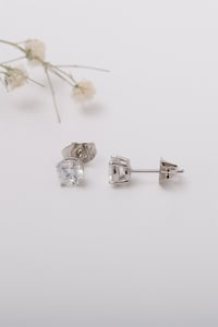 Shiny Küpe | 6mm