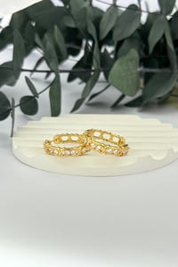 TF Gold Halka Küpe