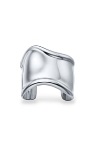 TF Silver Kelepçe 