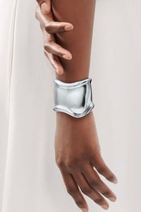 TF Silver Kelepçe 