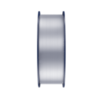 Sunlu Gümüş Silk PLA+ Filament - 1.75mm - 1 Kg