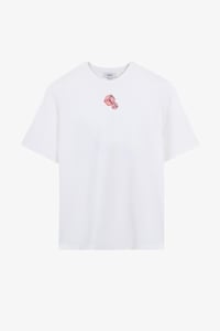 Alegion Solistice Erkek T-Shirt 001 – Ekru 01 Zarlı