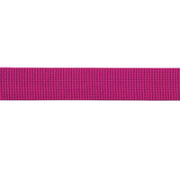 BEAL FLAT TAPE 26MM X 100 M PERLON BANT