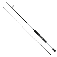DFT Cover 230 cm Carbon Spin Olta Kamışı 2-8 g