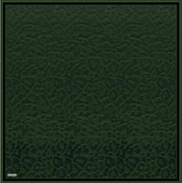 Armine 9408 Eşarp  - HAKİ