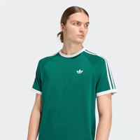3S TEE