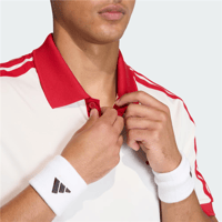 CLASSICS POLO
