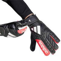 COPA GL CLB