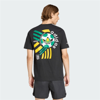 FTBL GFX SS T