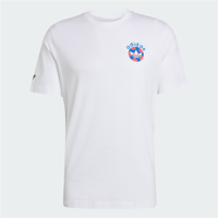 FTBL GFX SS T