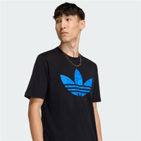 GFX T