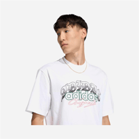 GFX T