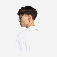 GFX T