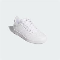 HOOPS 4.0 J