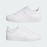 HOOPS 4.0 J