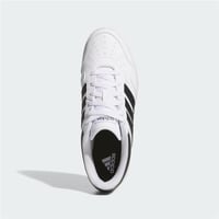 HOOPS 4.0