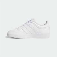 HOOPS 4.0 J