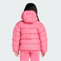 LK SD JKT