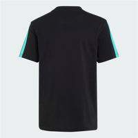 MER DNA TEE Y
