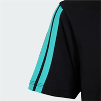 MER DNA TEE Y