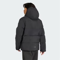 MT CW GOOSE J