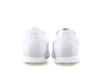 Roma Basic