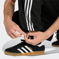 TAILORED PT