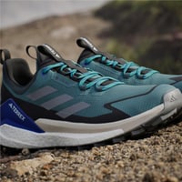 TERREX FREE HIKER 2 LOW GTX