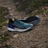 TERREX FREE HIKER 2 LOW GTX