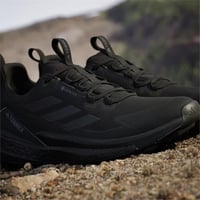TERREX FREE HIKER 2 LOW GTX