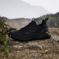 TERREX FREE HIKER 2 LOW GTX