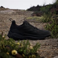 TERREX FREE HIKER 2 LOW GTX