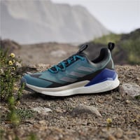 TERREX FREE HIKER 2 LOW GTX