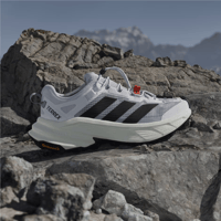 TERREX FREEHIKER SL GTX  W