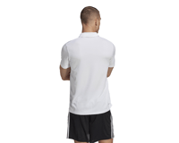 TR-ES BASE POLO