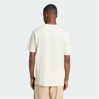 TS FASHION 1