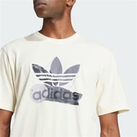 TS FASHION 1