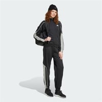 W STADIUM TS