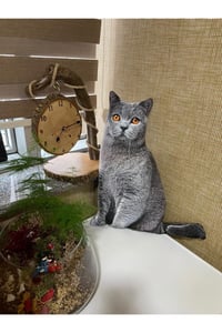 3 Boyutlu Dijital Baskılı Duman Kedi Yastık