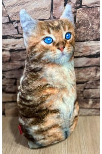3 Boyutlu Dijital Baskılı Minnoş Kedi Yastık-minder-kırlent
