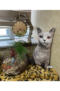 3 Boyutlu Dijital Baskılı Tekir Kedi Yastık-kırlent-minder
