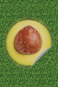 Yıkanabilir Yuvarlak Piknik Örtüsü Avokado Desenli
