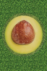 Yıkanabilir Yuvarlak Piknik Örtüsü Avokado Desenli