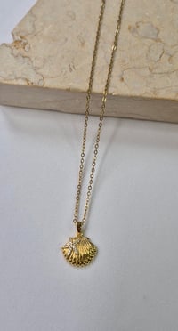 GOLD İSTİRİDYE KOLYE 