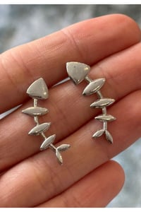 Kadın Balık Desenli Şık Fishy Touch Küpe