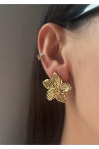 Kadın Çelik Çiçek Elegant Lotus Küpe