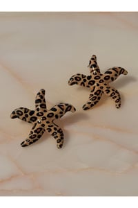 Küçük Boy Deniz Yıldızı Altın/Gold Küpe