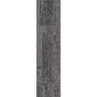 Aristoteles 04 (25×100)
